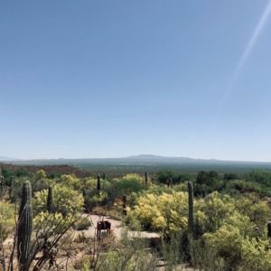 Meet your Posher, Jackie